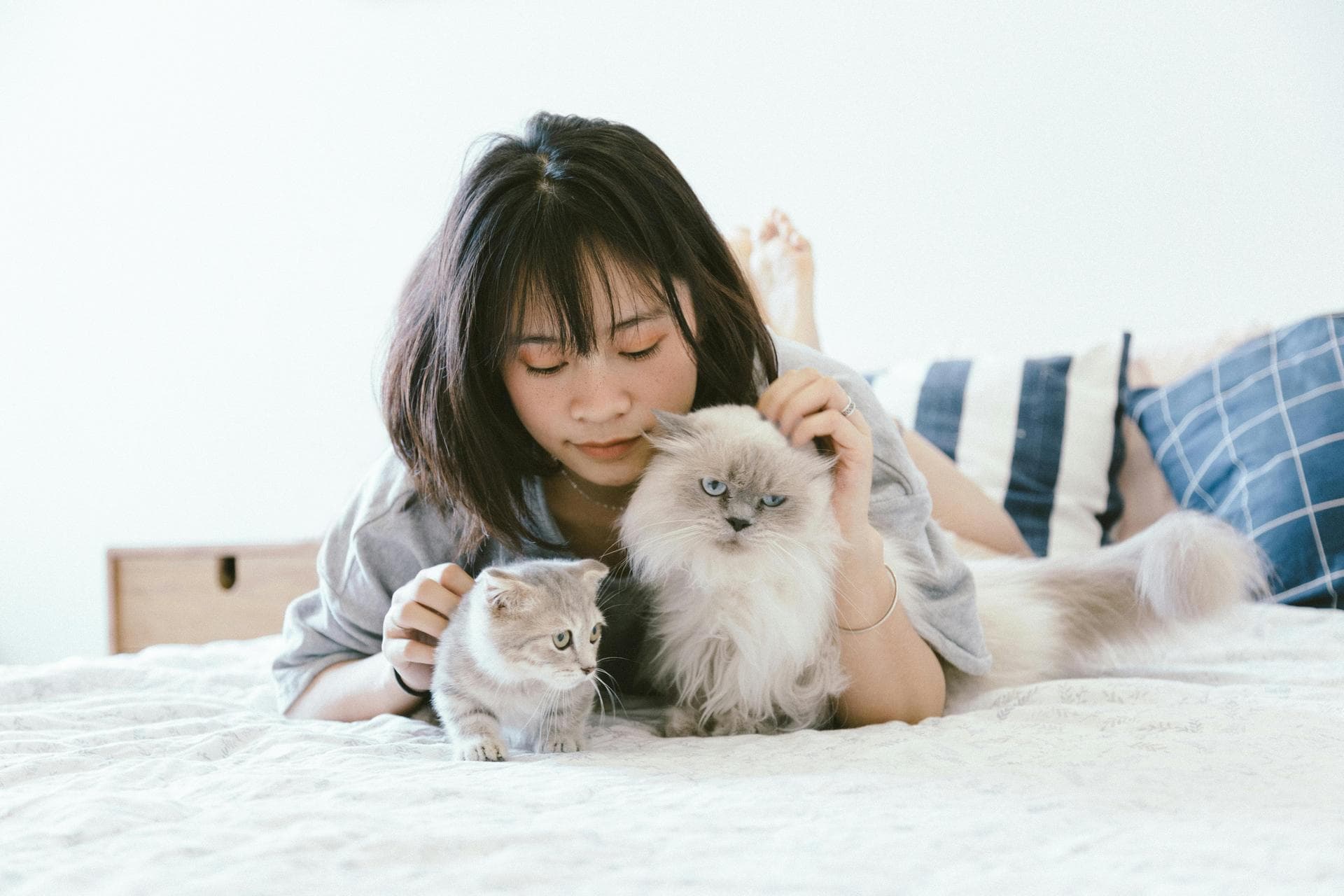 Dog & Cat Vets in Parker